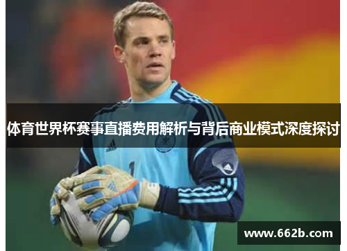 体育世界杯赛事直播费用解析与背后商业模式深度探讨