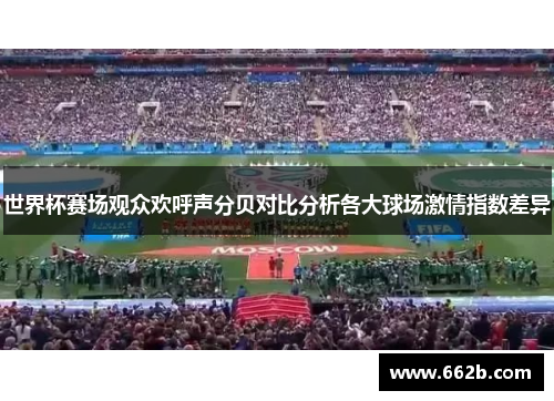 世界杯赛场观众欢呼声分贝对比分析各大球场激情指数差异