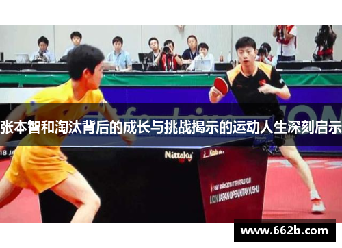 张本智和淘汰背后的成长与挑战揭示的运动人生深刻启示