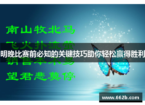 明晚比赛前必知的关键技巧助你轻松赢得胜利