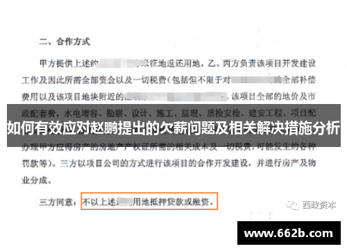 如何有效应对赵鹏提出的欠薪问题及相关解决措施分析 如何有效应对赵鹏提出的欠薪问题及相关解决措施分析