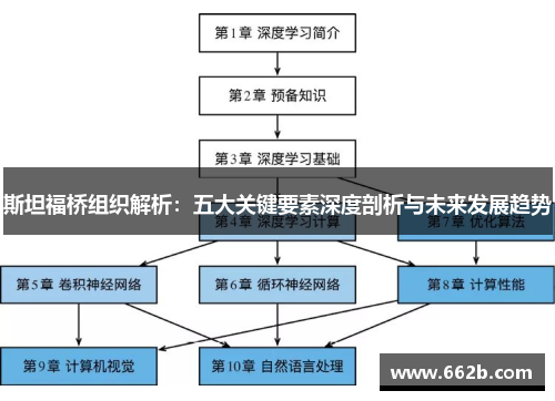 斯坦福桥组织解析:五大关键要素深度剖析与未来发展趋势 斯坦福桥组织解析:五大关键要素深度剖析与未来发展趋势
