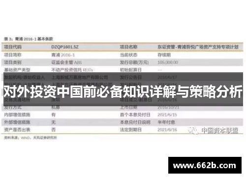 对外投资中国前必备知识详解与策略分析