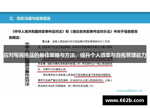 应对每周挑战的最佳策略与方法，提升个人效率与自我管理能力